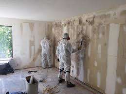 Mold Documentation for Insurance Claims in Greenfield, CA